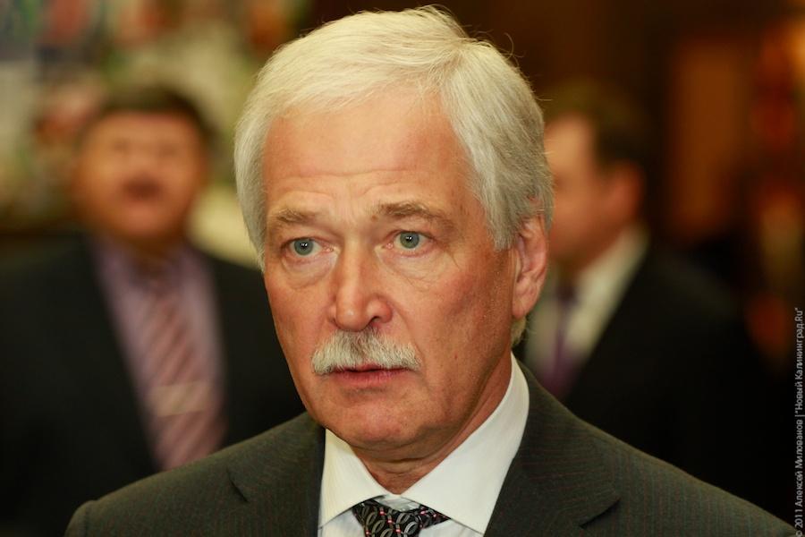 "Лось Маша и прочая законная агитация": фоторепортаж "Нового Калининграда.Ru"